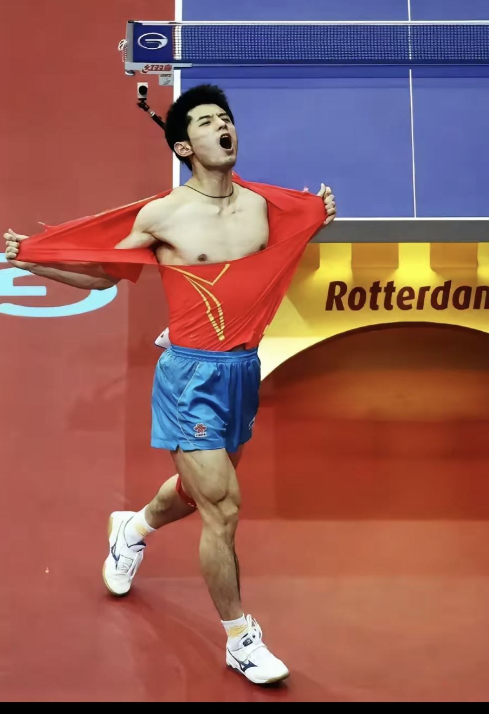 法国乒乓球队完胜比利时乒乓球队，张继科送出助攻