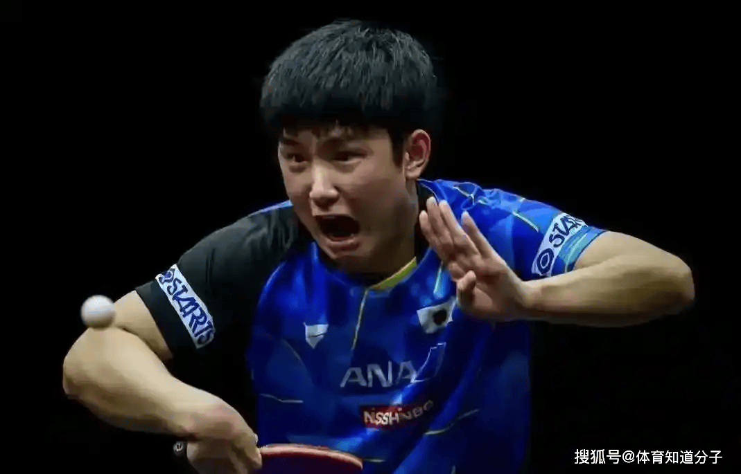 法国乒乓球队血洗日本乒乓球队，张本智和爆发神勇的简单介绍