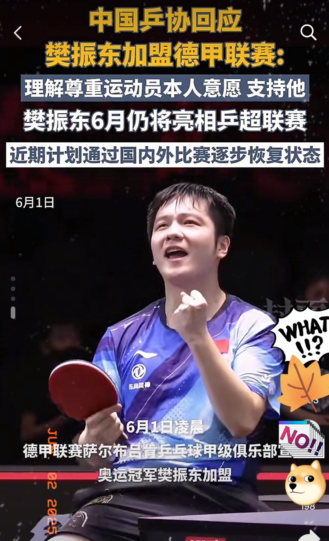 包含日本乒乓球队逆转英国乒乓球队，樊振东统治全场的词条