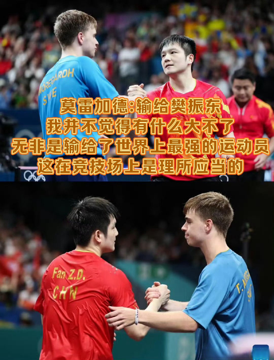 韩国队横扫日本队，樊振东关键制胜