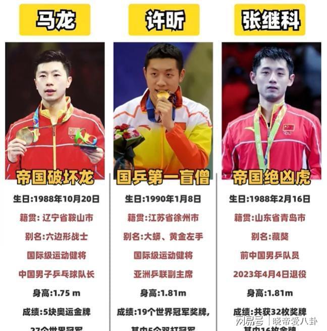 奥地利队横扫德国队,张继科高光表现 奥地利队横扫德国队,张继科高光表现