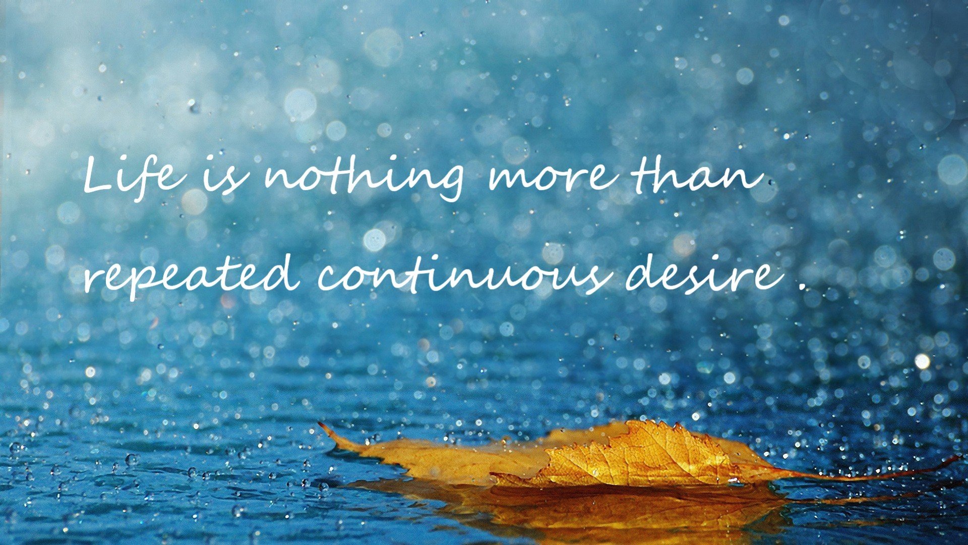 联合杯鏖战,年终总决赛前哨,穆雷以最年长纪录书写不朽