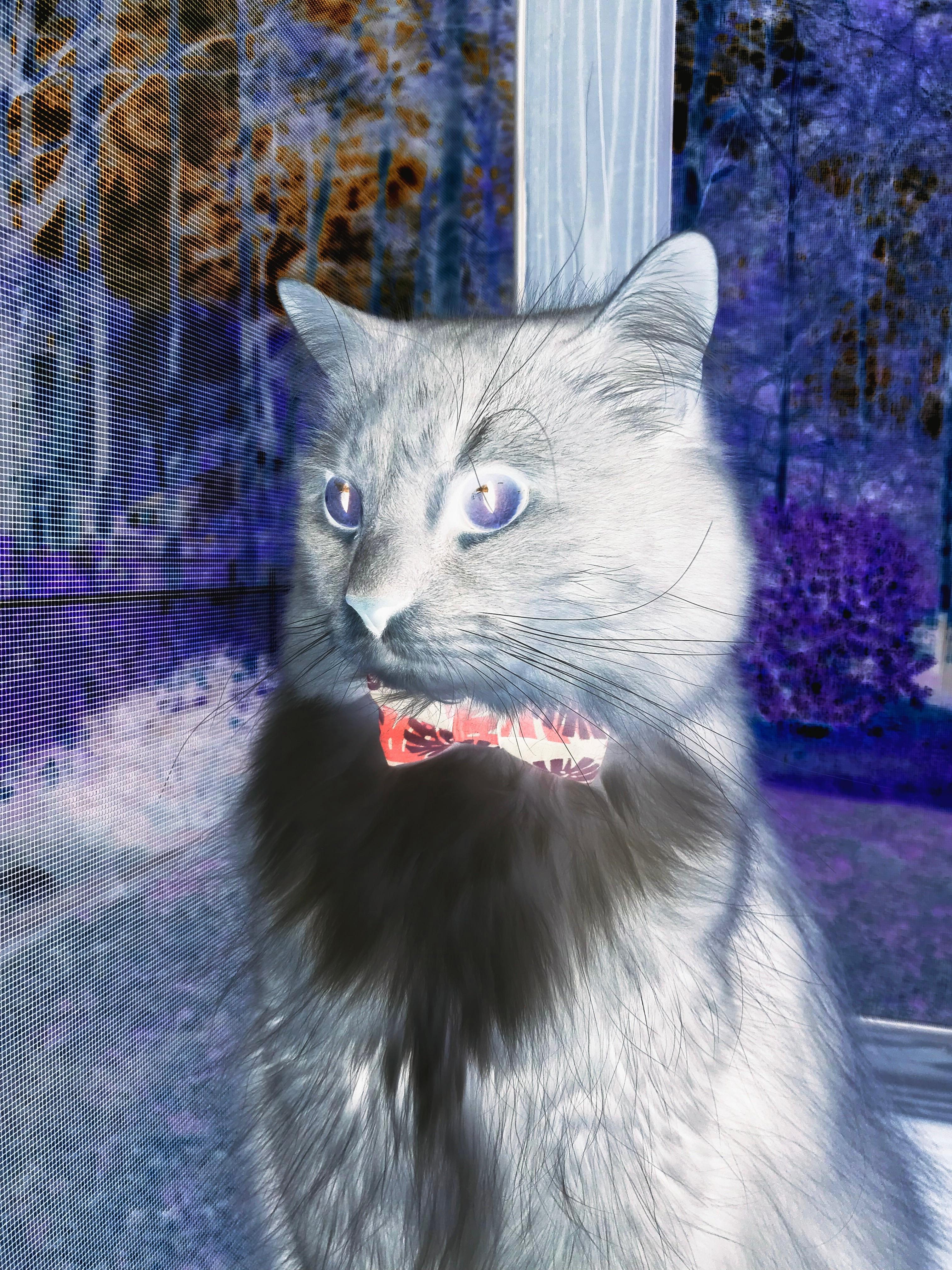 枪响蒙特卡洛，阿尔卡拉斯双线鏖战开启新时代