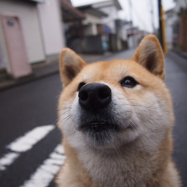 奥运周期关键战之夜，莫兰特刷新纪录的光辉时刻