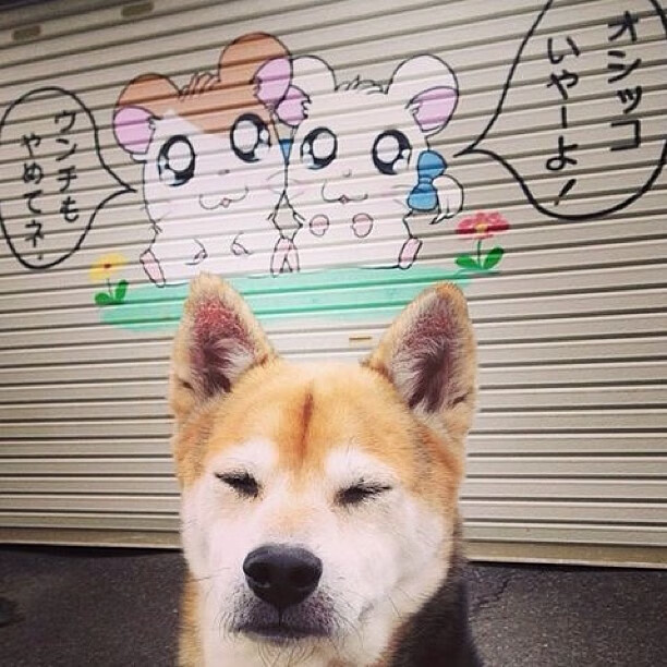 铁血圣殿与传控神庙,当毕尔巴鄂的铁矛刺向利物浦的丝绸,皮克在纪录之巅凝望旧日河山