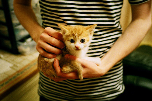 恩比德一手掌控，广东队对阵凯尔特人的跨界对决