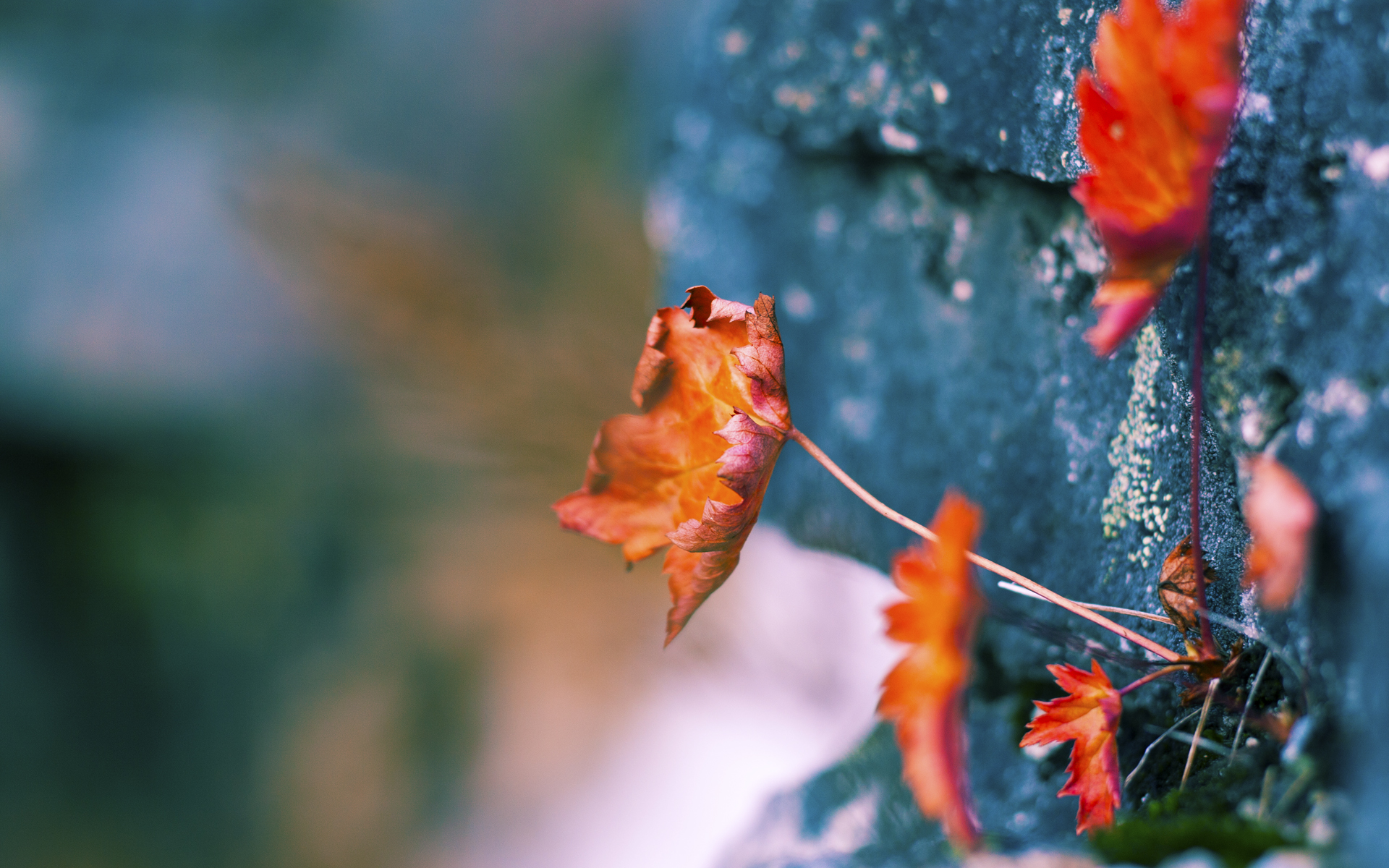末节封印，格纳布里的冷箭如何击碎巴西，让天平倒向沙漠雄鹰