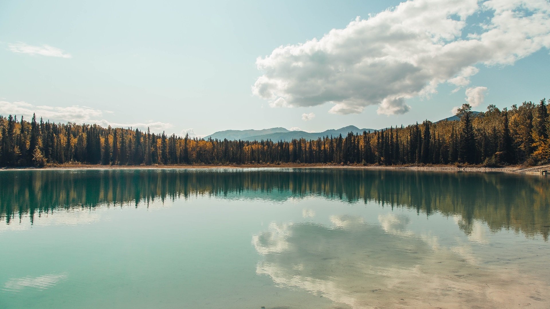蓝色绞索与致命手术刀，拉齐奥式体系如何锁死奥地利，凯恩终成破局钥匙