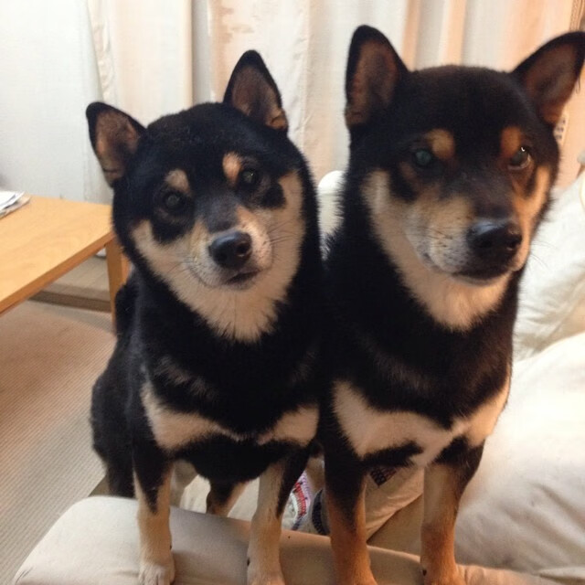 唯一门票！黑马洪都拉斯强势拿下里昂，夺奥运关键战胜利