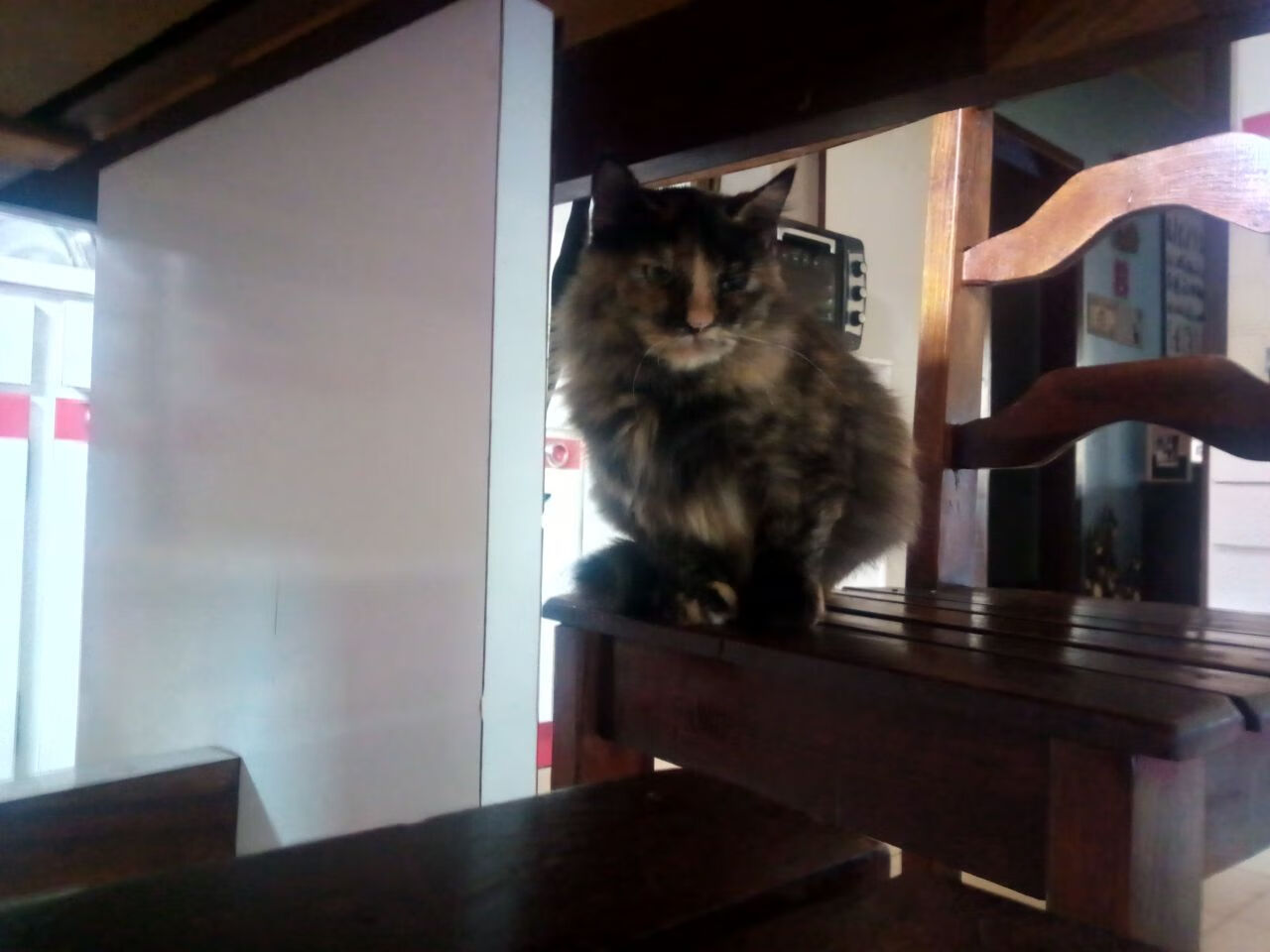 教科书是这样写成的，努涅斯导演，哥斯达黎加冷夜击落乌克兰