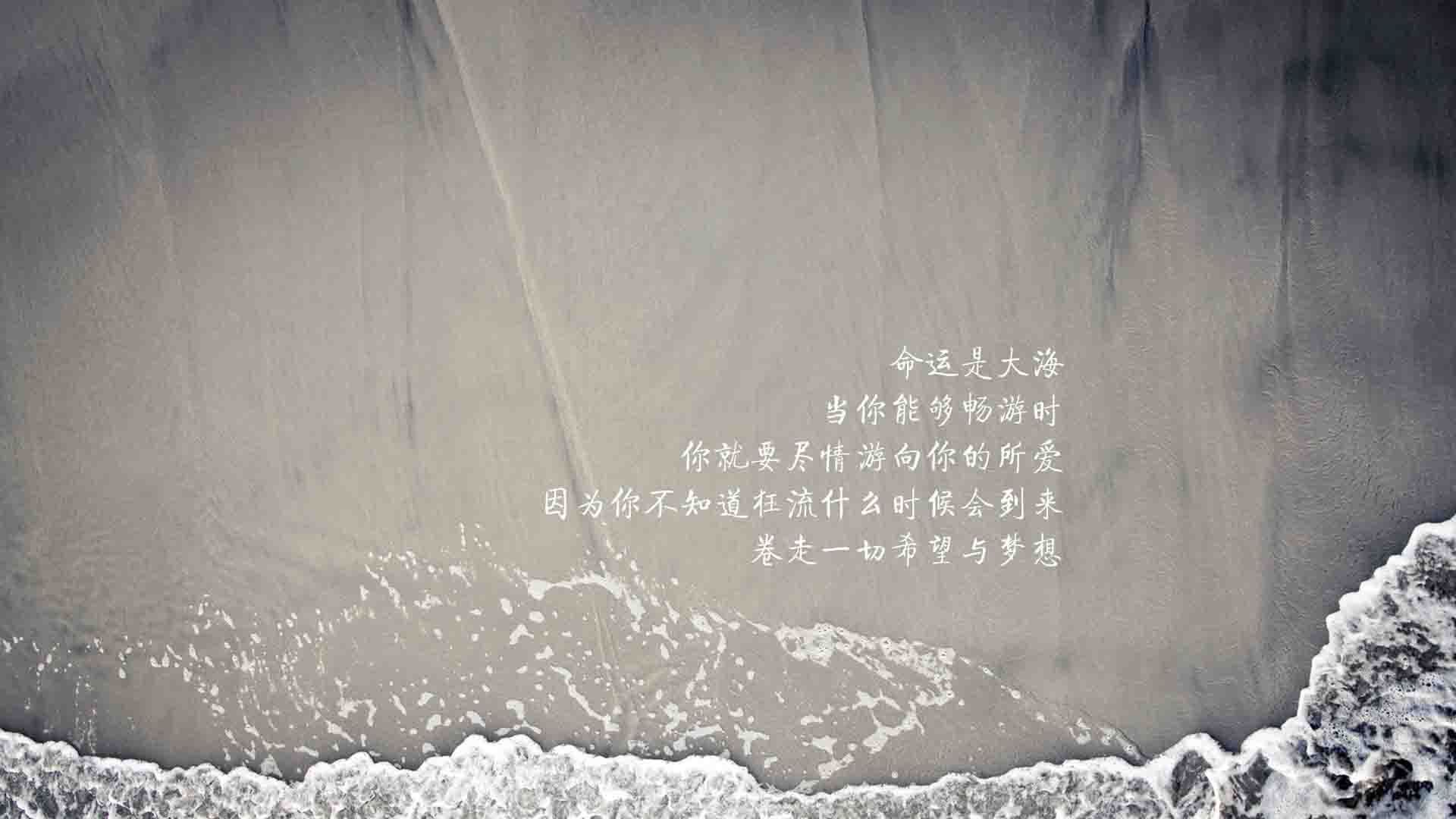 恒河之浪与星条旗的碰撞,2026,坎塞洛的独舞如何定义G组最不寻常的战役