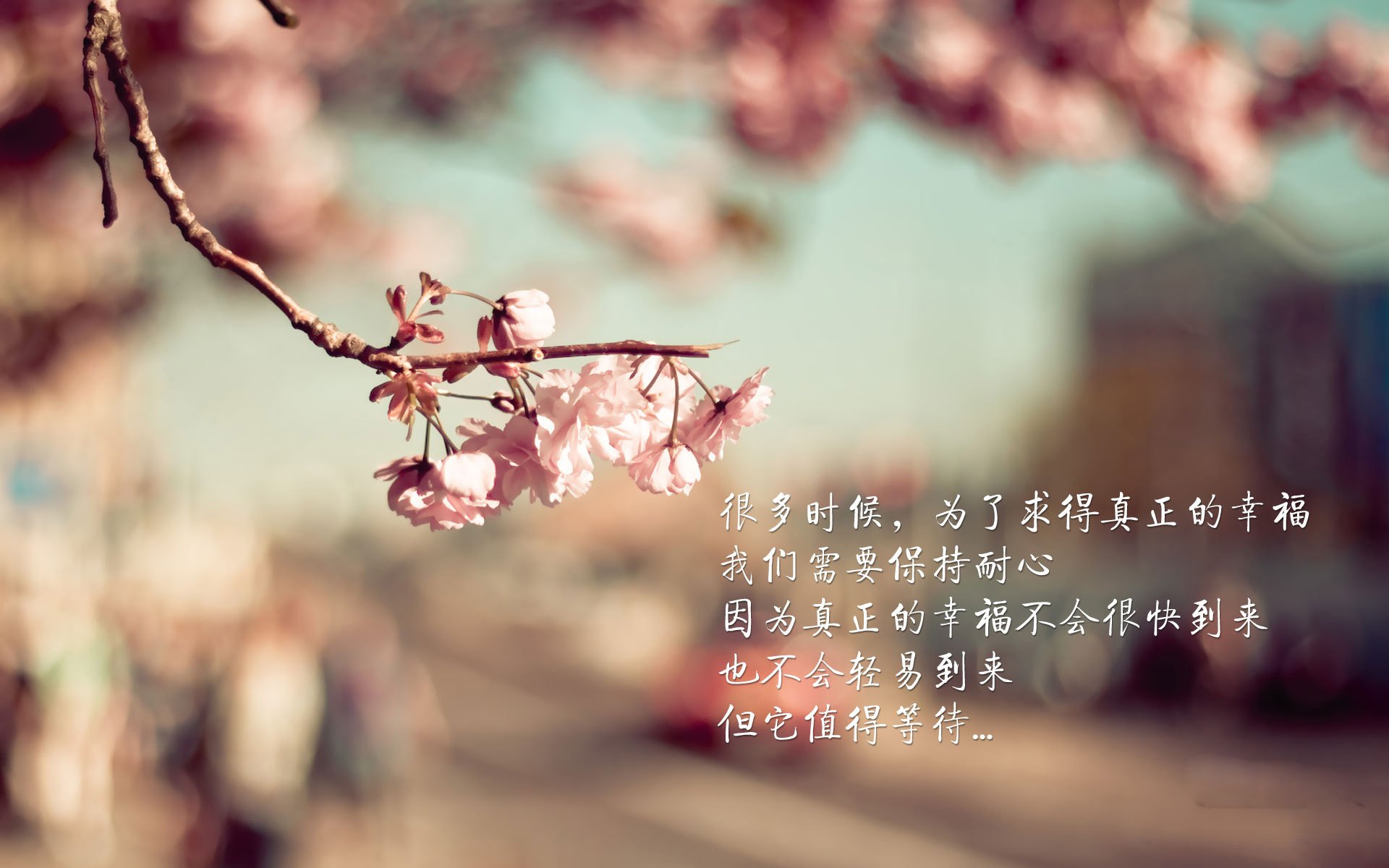 黑星闪耀,桑巴新生,维尼修斯独舞破局,加纳完胜哥伦比亚锁定头名之争焦点战