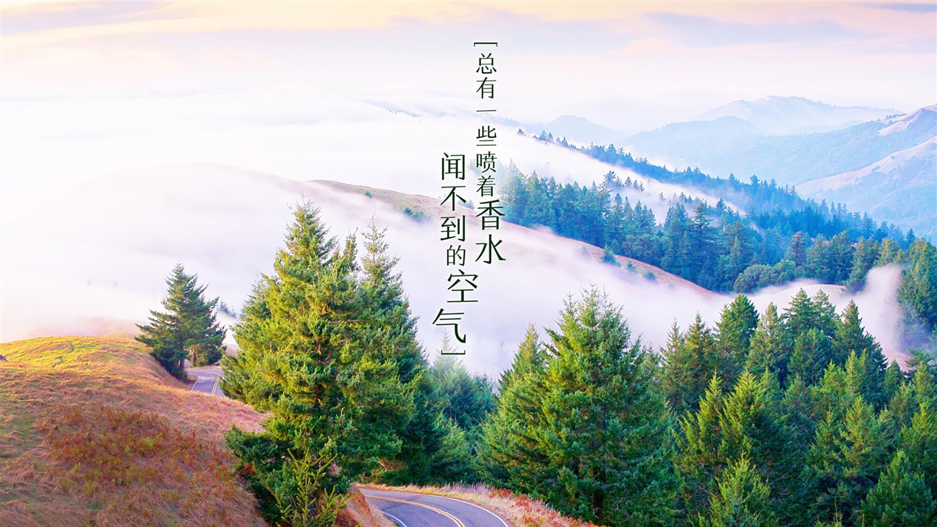以下是根据您的要求撰写的文章