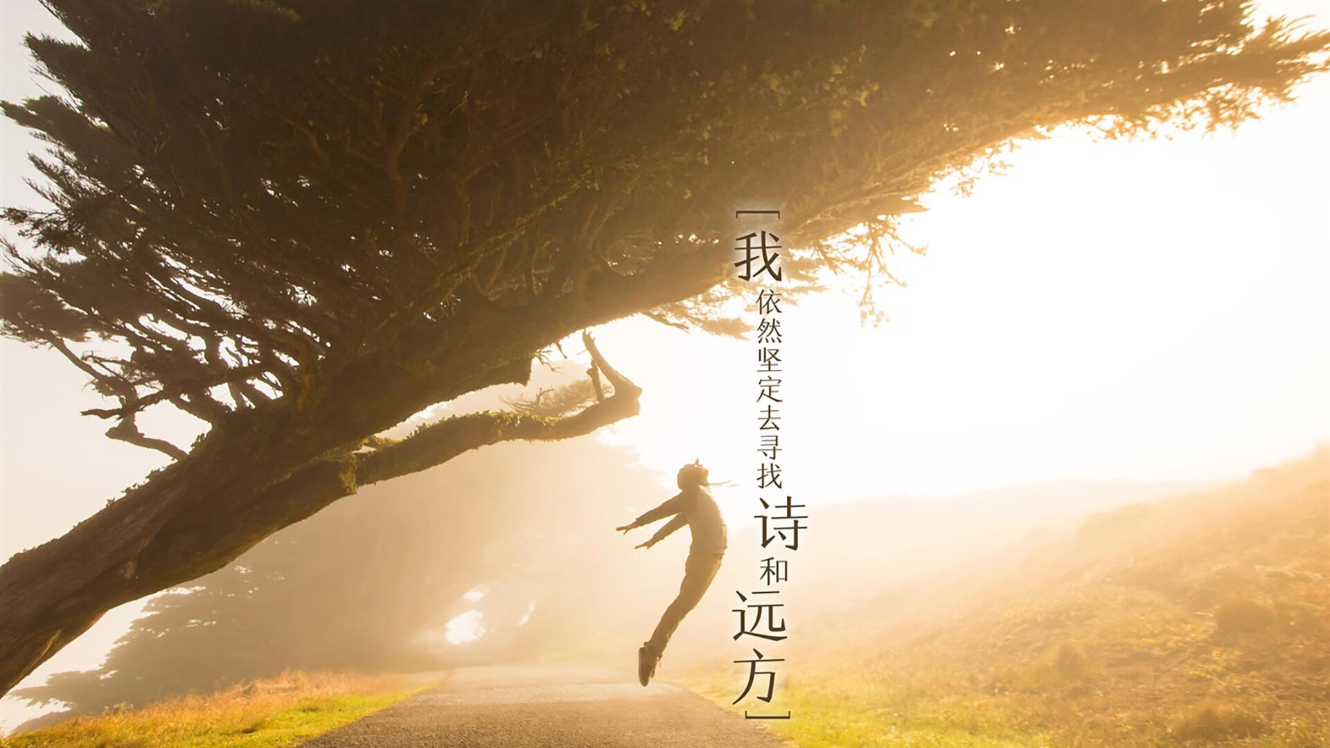 当黄沙席卷苍穹,2026世界杯决赛,沙特足球的史诗级逆袭与萨内的神迹之夜
